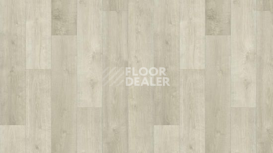 Линолеум Tarkett Фаворит MONDO 1 фото 1 | FLOORDEALER